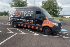 Pro Tree Services